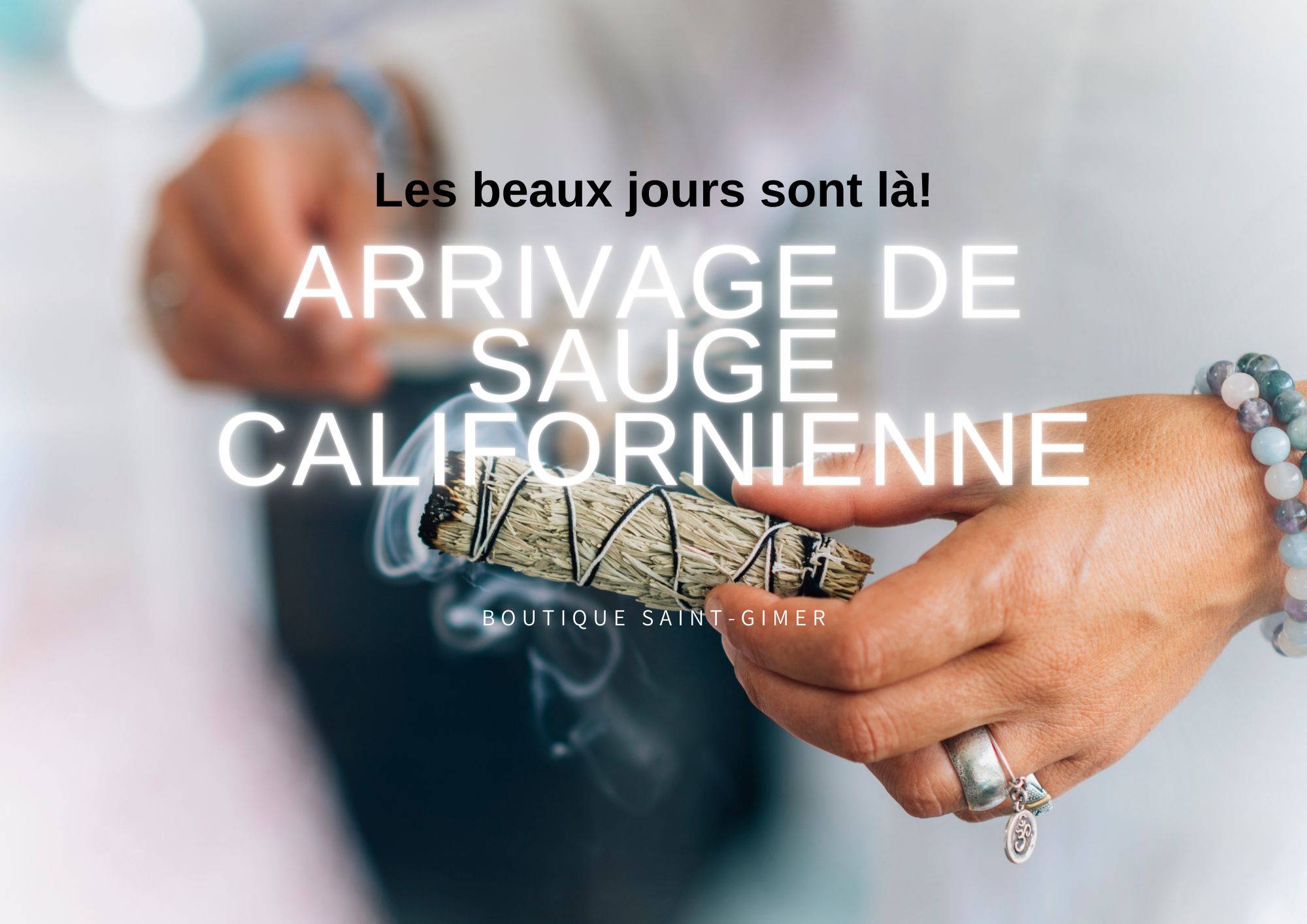 La Puissance de la Sauge sur le corps, l&rsquo;âme et l&rsquo;esprit