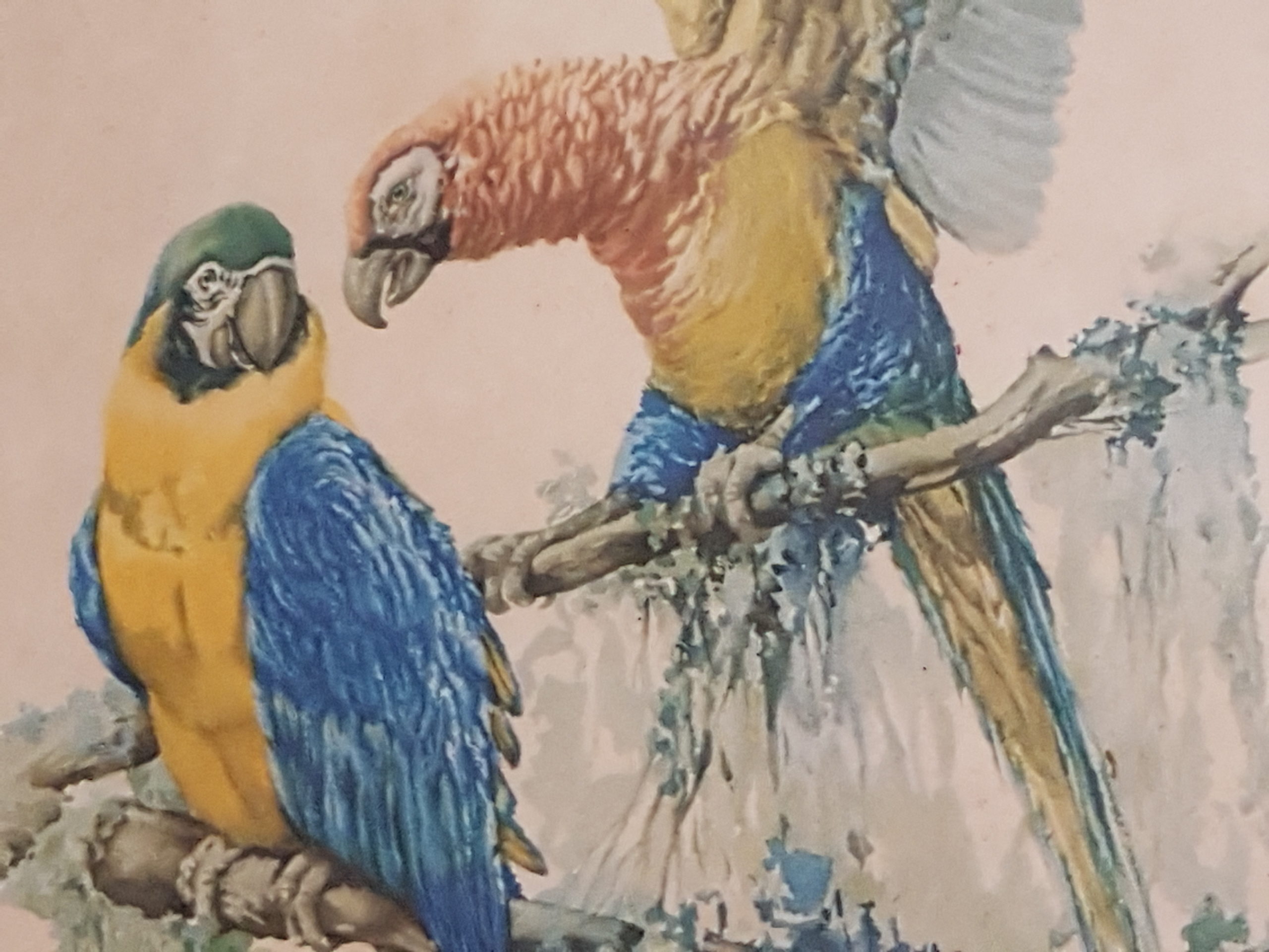 La Boutique Saint-Gimer &#038; Les Cadeaux de la Nature