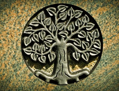 Symboles et Ondes de forme