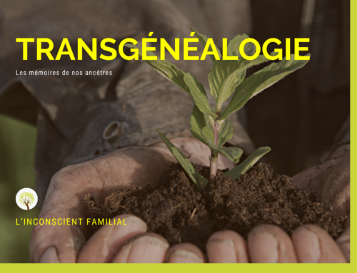 La Transgénéalogie : Comprendre les Liens Invisibles qui Nous Unissent à Nos Ancêtres